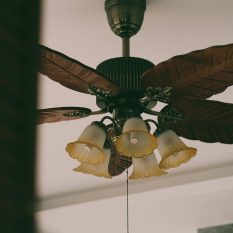 A classic vintage ceiling fan with ornate leaf blade design and floral light fixtures, creating a nostalgic indoor ambiance.